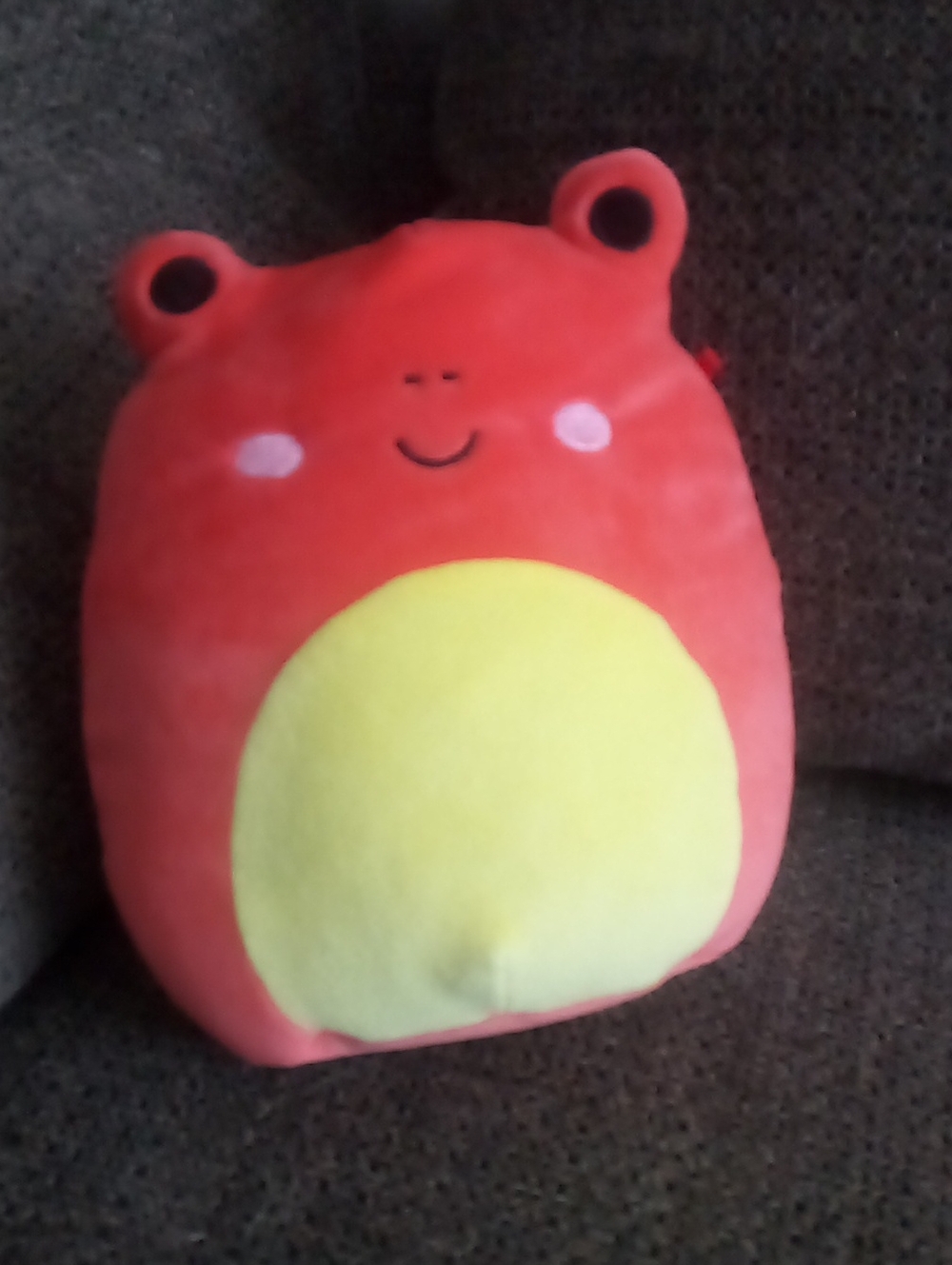 Obu The Frog Squishmallow